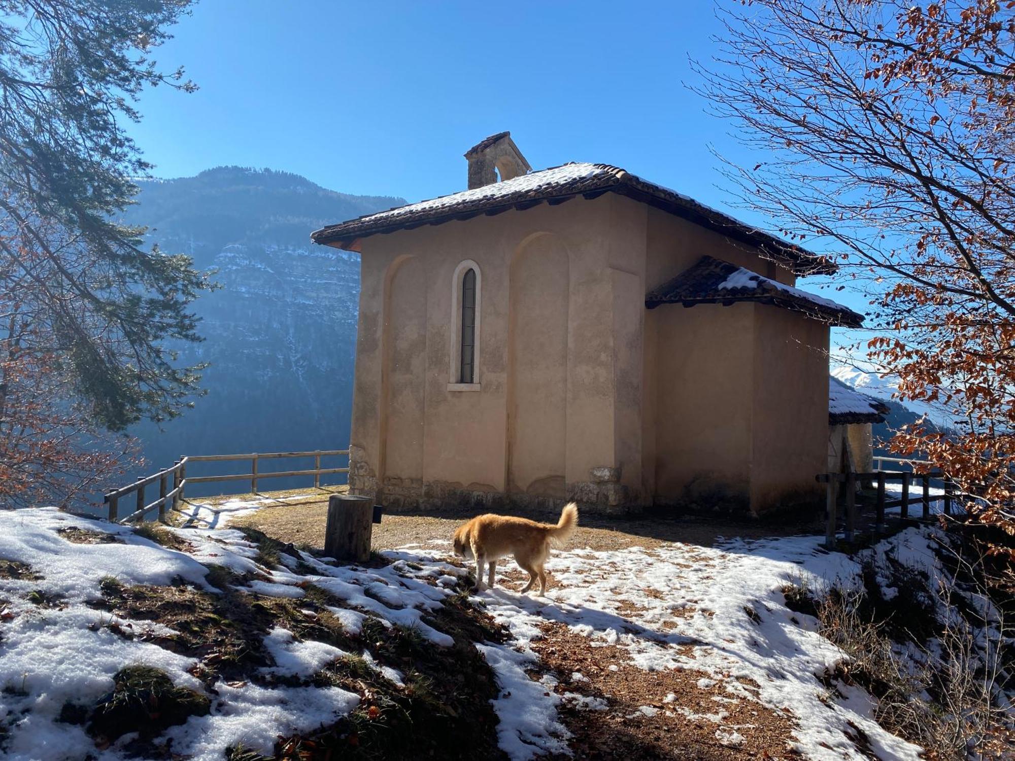 Cielo E Terra Chalet Zencheri Con Vista Panoramica Piazza  Exteriör bild